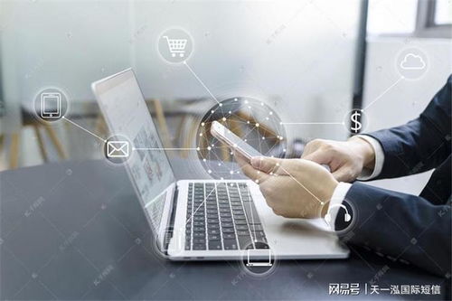 服務(wù)器的驗(yàn)證碼重要么 短信驗(yàn)證碼的作用與信息系統(tǒng)集成服務(wù)解析